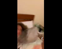 Guy bangs head against pillow to sleep