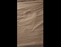 Friends sees something crawling underneath sheets 