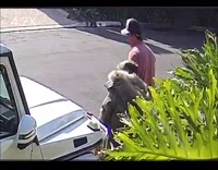 White bikini lady poses jeep neighborhood pt. 2
