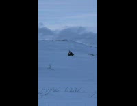 Woman sleds down a hill falls and tumbles down 