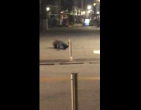 Woman falls after jumping over pole 