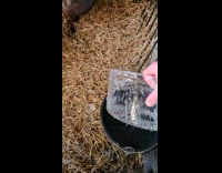 Man throws frozen water from black bucket