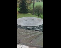 Pigeons bathe on top of the pool cover with rain water
