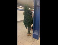 Christmas tree man, man sings red high heel, and elf in subway station at the same time