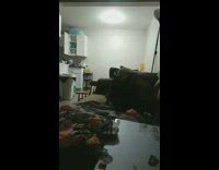 Pet dog rubs body on the couch to dry itself