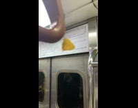 Yellow Butterfly Hangs Upside Down on Train Handrail