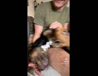 Dog plays dead when owner snaps neck 