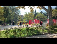 Little kids field trip red hats vest