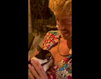 Cat licks guy open shirt near chest