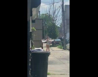 Silver bodysuit cape girl rollerblades sidewalk garage 