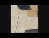 Black white kitten cat drags blue shorts 