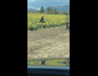 Daughter Takes Photo like a Bunny in Flowers 