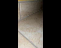 Scared white dog hiding under cabinets 