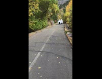 Two people ghost costume pose street trees 