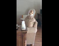 Dog caught by woman stand on couch