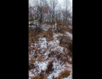 Man tells advice to son sled hill fails