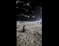 Guy on beach at night surrounded by pigeons 