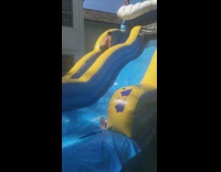 Collab scorpionmasters - Woman slides down inflatable bounce house water slide and scorpions at the bottom