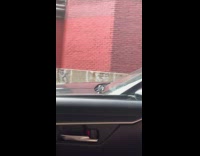 Man drives car while shaving facial hair