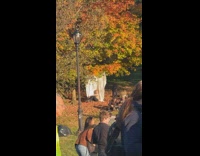 Shirtless man doing a professional photo shoot at park