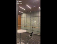 Woman reads NYU center of genomics and systems biology