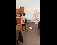 Collab BitchIG2 - Man cow tips his cat