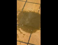 Brown water comes out of floor sewer drain