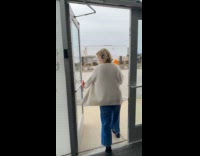 Goose attacking customers outside store