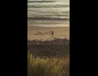 Collab Kook Of The Day - Girl stands next to drawing beach sand 