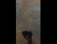 Puppy too excited when fed spin around