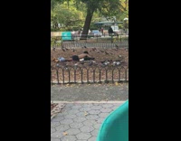 Shirtless model poses with pigeons 