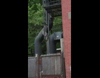 Raccoon Climbs onto Fire Escape 