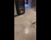 Collab BitchMP - Water pipe busted flooding floor and red stairs 