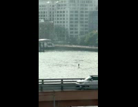 Collab winy - Man ride hydrofoil surfboard on the river 