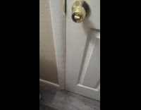 Cat meows wants to be let out