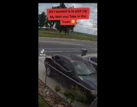 Guy scared by truck train horn honk
