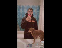 Dog light switch flip bathroom sweatshirt
