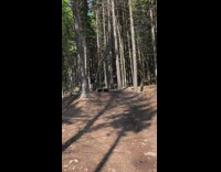 Woman jumps off ramp bike fail