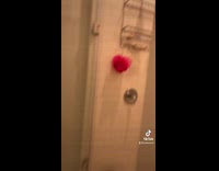 Face made out of hair in shower 