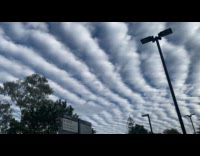 Altocumulus undulatus clouds formation seen in sky