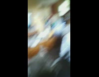 Grey dog howls then jumps on couch with girl lady