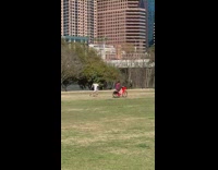 Guy rides bicycle and records friend running 