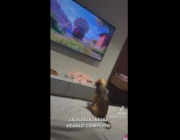 Dog watching movie gets spooked by movie