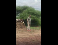 Man takes selfie in front of wildebeest skull dirt pile