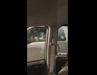 Collab BitchMP - Dog sitting in passenger of white truck 