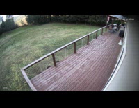 Sheep flips over while crossing fence