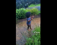 Collab PubityPets - Baby Stands Still on Pathway as it Rains