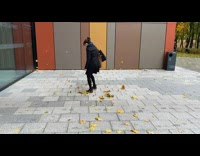 Lady Steps Inside Faint Dried Leaves Whirlwind 