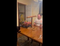 Collab VIBES - Cat beats woman at ring toss 