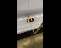 Collab Subway Creatures - Acrylic nails left in plastic container subway 